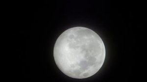 supermoon 900/114mm Reflector Telescope 10.8.14 Germany short clip