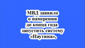 МВД заявило о намерении до конца года запустить систему «Паутина».