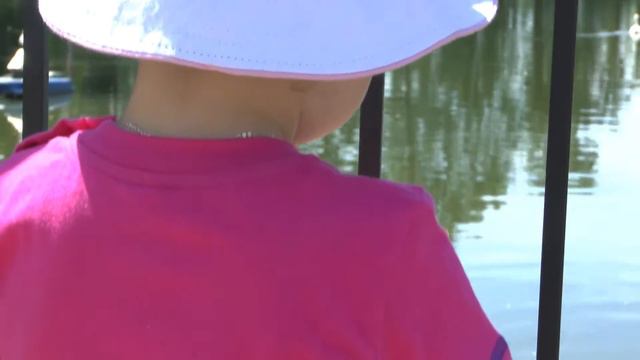 На пруду. смотреть онлайн