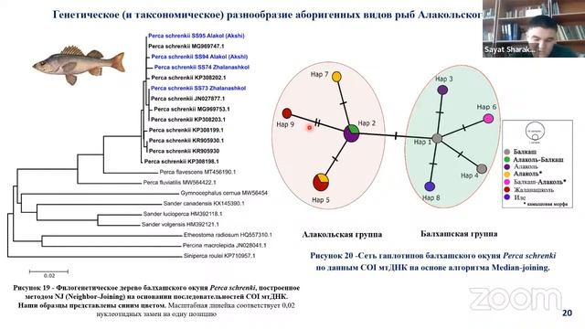 Защита Шарахметова С. смотреть онлайн