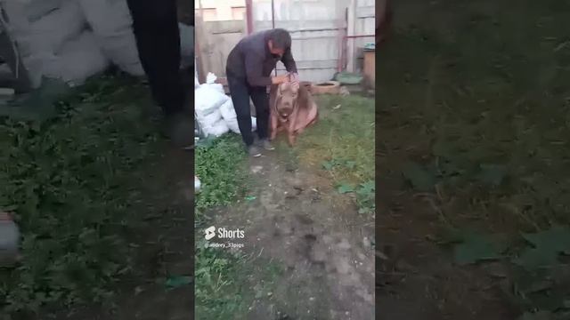 давно не виделись ? смотреть онлайн