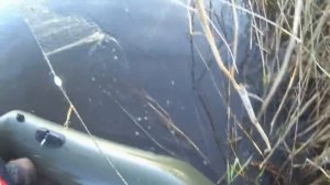 рыбалка на сети упустил леща