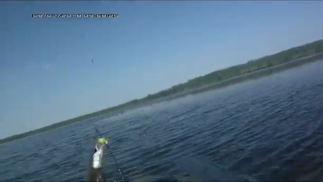 Ловля окуня и щуки на приманку даппер. 8.07.2018 смотреть онлайн