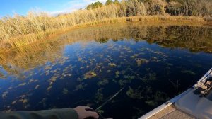 Fishing Georgia PFA for HUGE Bass ( Public Fishing Area )