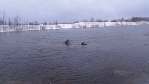 снегоходы по воде