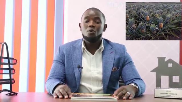 MALINDI VALUE ADDED PLOTS FOR SALE.50 by 100 @150K смотреть онлайн