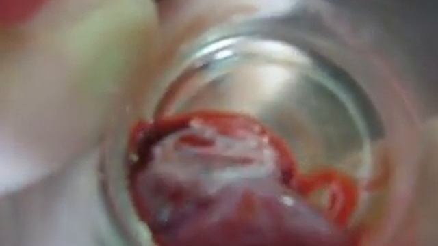 Тайланд. Паттая. Змеинная ферма. Сердце змеи смотреть онлайн