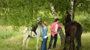 Андрей Гражданкин ? Что имеем, не храним #Душевные песни о любви