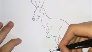 Kako nacrtati i obojiti Kengura / How to draw and color a simple Kangaroo