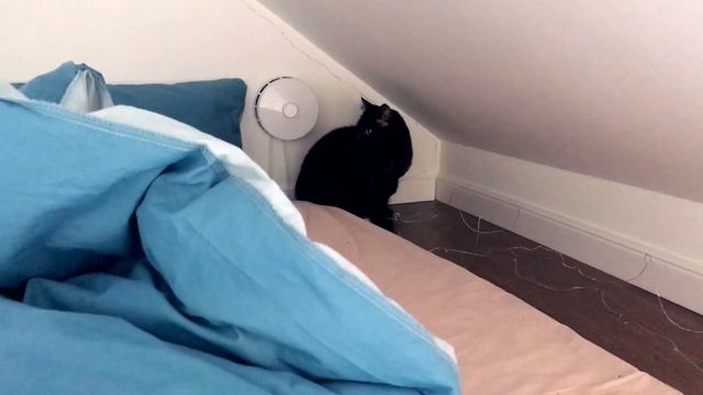 Офигенный журнальный столик из обрезков ДСП и черенков от швабр. Все гениальное просто! смотреть онлайн