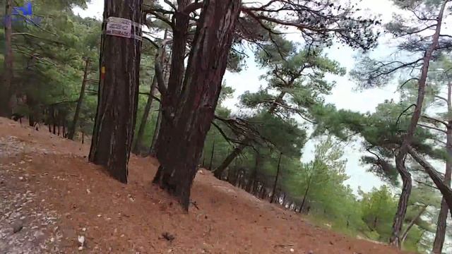 Голубая бездна || c. Дивноморское || х. Джанхот || Достопримечательности Геленджика смотреть онлайн