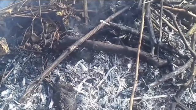 Новые запреты для дачников и частных домов. Разводим костер законно: правила пожарной безопасности. смотреть онлайн