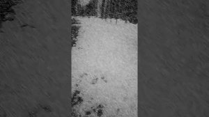 Снежная буря#4... Снимают лучшие подружки))))