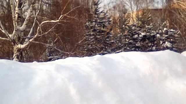 Раздел имущества в Ижевске. Судья семейному адвокату - не платит алименты в колонию, как обычно.