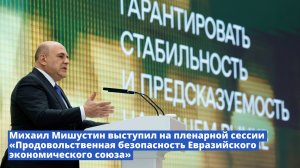 Михаил Мишустин выступил на пленарной сессии «Продовольственная безопасность ЕАЭС»