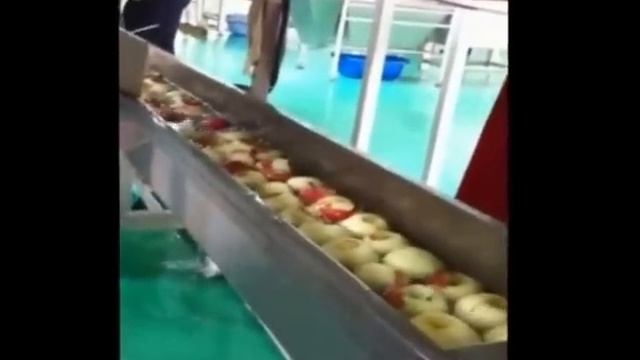 О линиях сушки овощей, фруктов, ягод, HANS BINDER www.hans-binder.ru смотреть онлайн