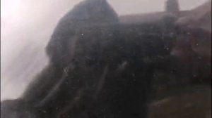 Обзор RENAULT LAGUNA 2.2 DCI DIESEL DYNAMIQUE 11/2002 г.-1950 ЕВРО