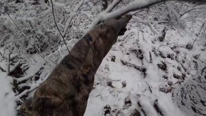 Строим нашу большую ИЗБУ в ТАЙГЕ. ПЕРВЫЙ СНЕГ.