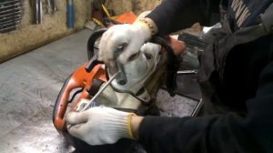 Ремонт бензореза STIHL TS 420