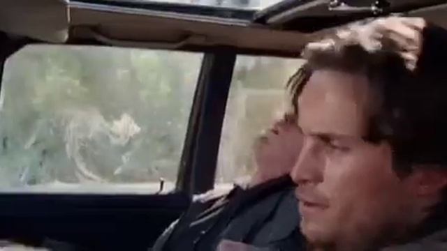 Дикие собаки 5 смотреть онлайн