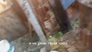 ОТКОРМ СВИНЕЙ НА САЛО. СВИНЬИ ХОРОШЕЙ ПОРОДЫ РАСТУТ КАК НА ДРОЖЖАХ?