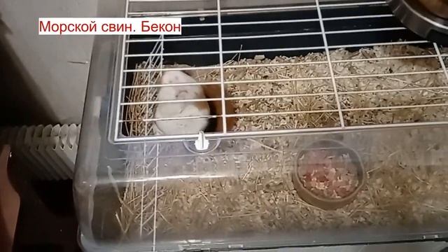 Как пожарить картошку во фритюре смотреть онлайн