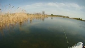 Ловля щуки нахлыстом | Catching Pike On The Fly