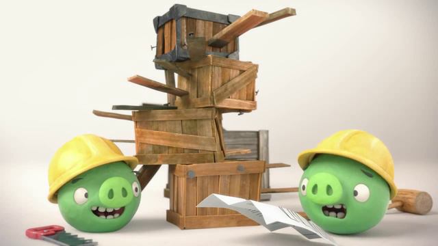 История свинок!12