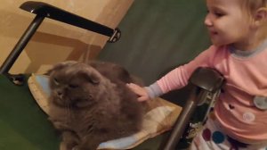 Злой кот Ричик снова в эфире