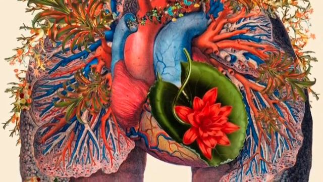 Медитация моя внутренняя улыбка смотреть онлайн