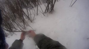 ставим петлю на лисей тропе