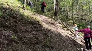 Поход в Полушкинские Скалы ⛰