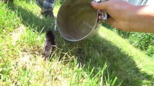 Он вылетел как пуля .Как быстро избавиться от крота на участке..