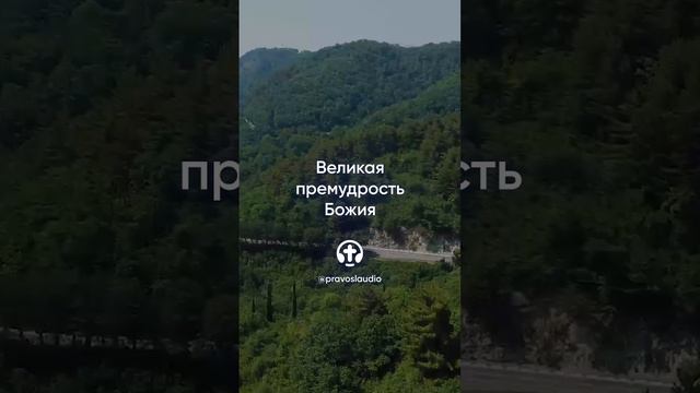 793 Великая премудрость Божия — Иоанн Кронштадтский #Бог #душа #вера #молитва #сердце #любовь #жизнь
