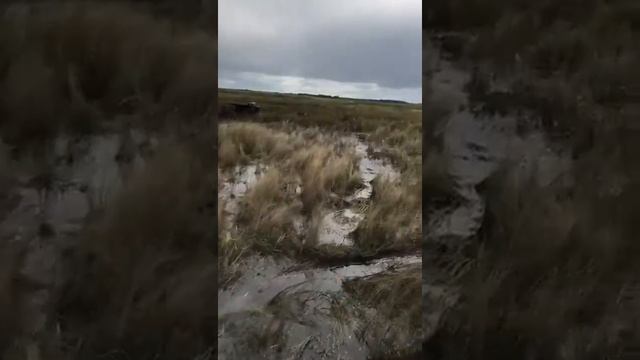 Особенности национальной охоты 2!!!😂😂😂 смотреть онлайн