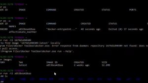 Docker Quickstart Terminal 27 12 2017 17 32 59