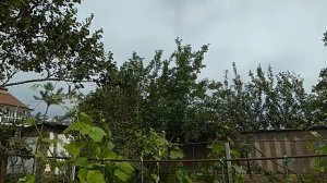 Гибридный инвертор +генератор. Как использовать? Альтернатива есть.