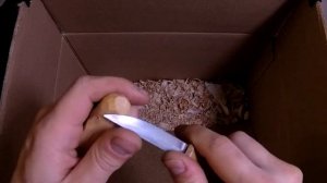 Фигурки из дерева. Миниатюрные головы. Как вырезать лицо.