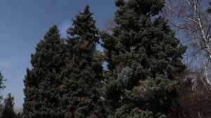 Социальный ролик _Проблемы экологии