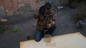 Как  собирать   клюкву