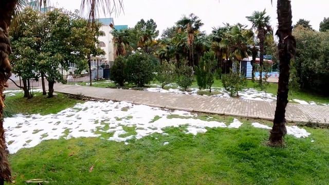 Цветут и пахнут! Парк 21.02.2021. Какие растения выжили после мороза!?ЛАЗАРЕВСКОЕ СЕГОДНЯ?СОЧИ. смотреть онлайн