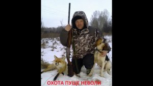 Охота на лису с гончими