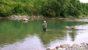 В Черногорию с нахлыстом. Fly fishing in Montenegro.