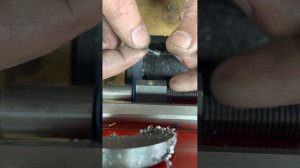 Новая паразитка для Корсара