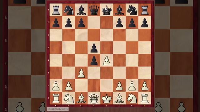 Ловушки в дебюте. Центральный гамбит смотреть онлайн