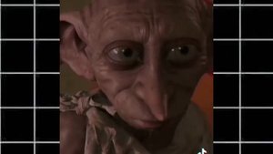 Гарри Поттер Тик Ток #2