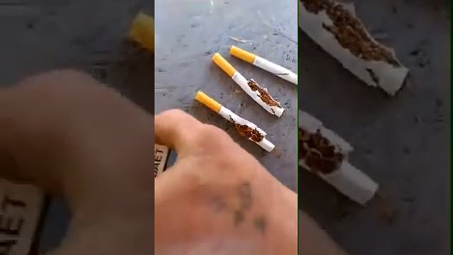 "Братский народ" смотреть онлайн