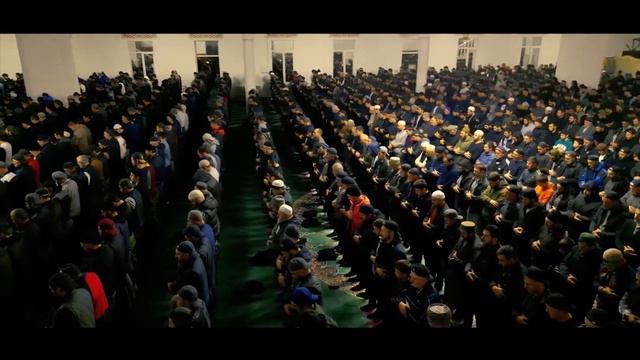 Мадани Ибрагимов - Палестина боль земли (на русском) 🇵🇸🇵🇸🇵🇸🇵🇸🇵🇸🇵🇸