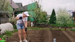 Как защитить картофель. Обработка клубней и опрыскивание