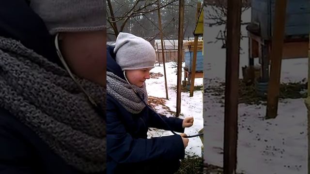 Дочка слушает пчел зимой с помощью стетоскопа. Daughter listens to bees in winter with a stethoscop